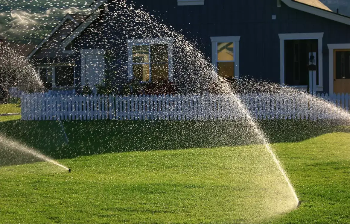 sprinklers lush green healthy lawn