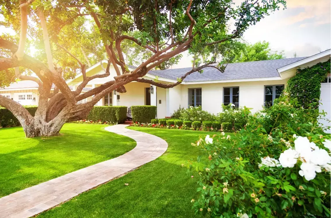 beautiful yard with tile walkway to front door